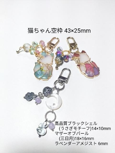 Vt[14_Zbg܇A]󏭂ȓVR΂Ă/VR΃uXB`[(*^^*)