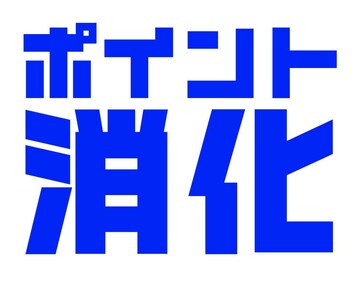i|CgxOKjzʈȉBႦΐ؎300~{~j^[1