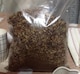 VR}[S[h̉ԎAʃobO135g{Iׂeiv[g{S̑Sł_(^o^)^