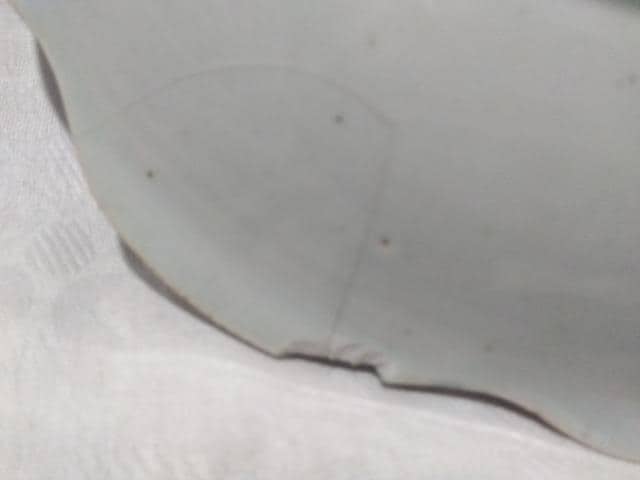 Èɖ@29aM@X݂  zr[ 