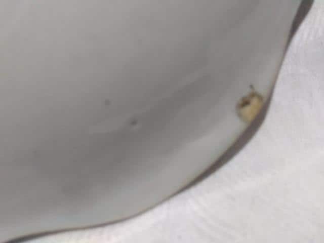 Èɖ@29aM@X݂  zr[ 