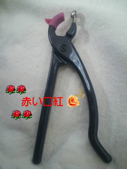 COmedo.maniap.ݏo@p  wX/r[eB[ 