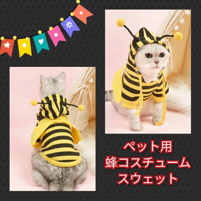 ELViybgpIRX`[XEFbg^L   ybg/|/| 