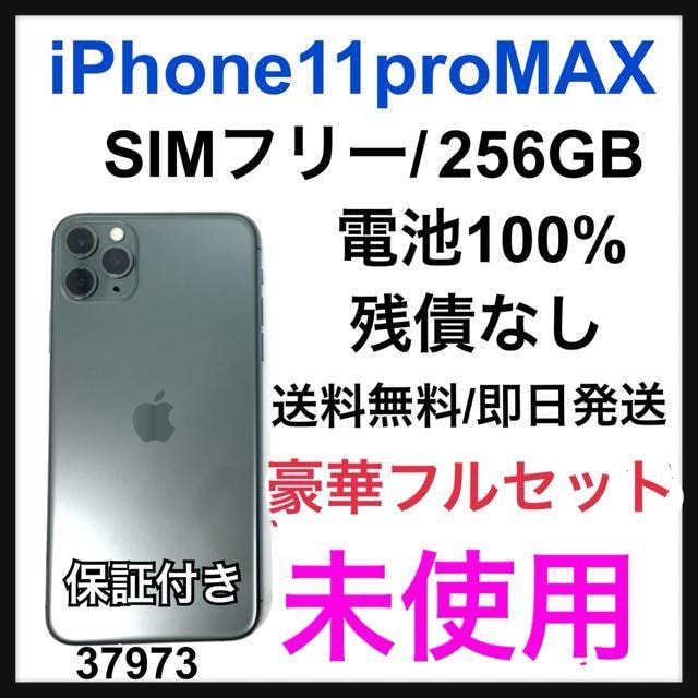 gp@iPhone 11 Pro Max 256 GB SIMt[@O[   Ɠd/AV 