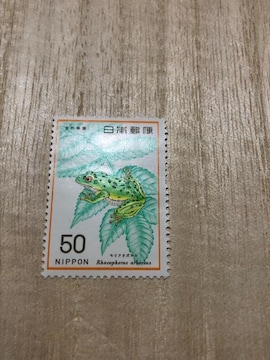 RیV[Y uAIKGv1976Ns@50~@gp؎