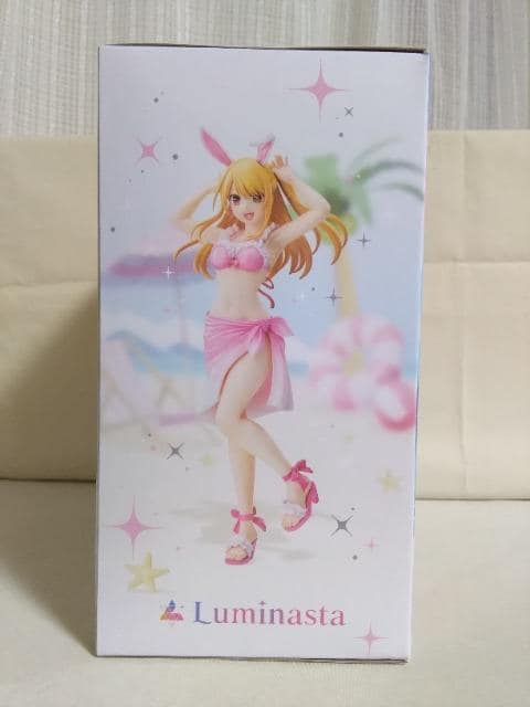 m̎qnLuminasta@r[