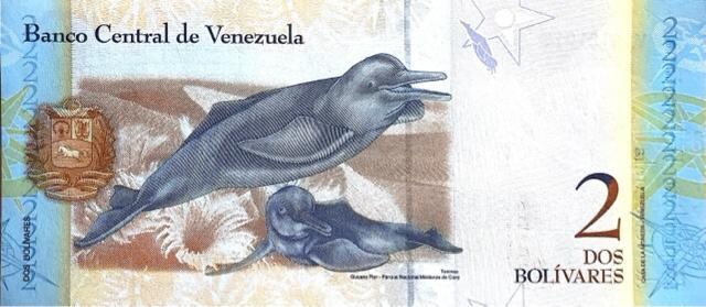 xlYFE2BOLIVARES 2012   zr[ 