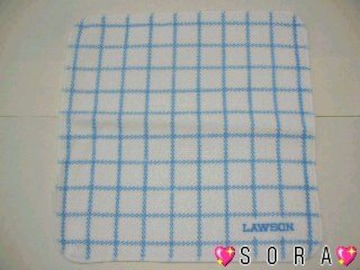 yLAWSON/۰݁z 񔄕i