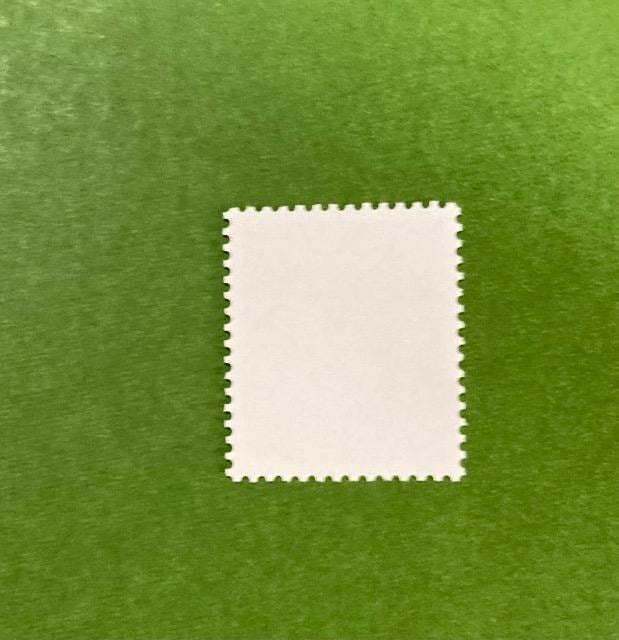 ʁ63~؎1\CVm̂莮gp