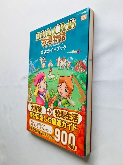 ||NCXqꕨ@KChubN@U{@Ł@с@3DS Return to PoPoLoCrois  Guide  Q[{/\tg 
