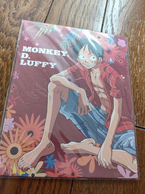 s[X ONEPIECE Aj  ^[Zbg i ObY  Aj/R~bN/LN^[ 