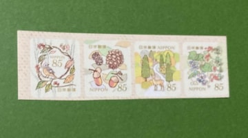 2024H̃O[eBO85~؎~4큚zʍv340~V[gp