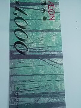 1000CIiVi