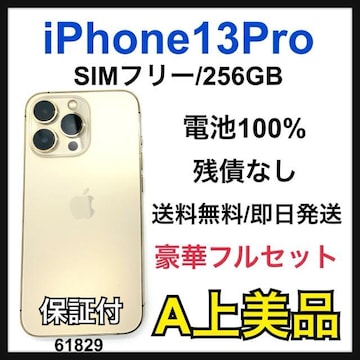 A 100% iPhone 13 Pro 256 GB SIMt[ {