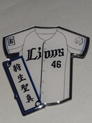 ʐCIY2025 SIsob` 46 됶^