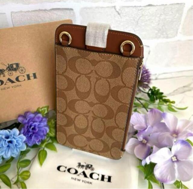COACH X}zV_[ Vigp J[LTh
