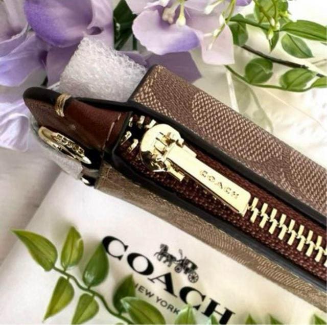 COACH X}zV_[ Vigp J[LTh
