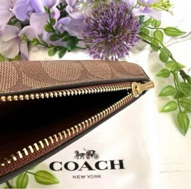 COACH X}zV_[ Vigp J[LTh