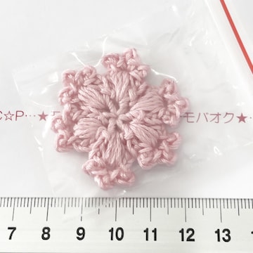 11*Ҳށ̌́@13
