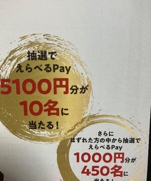 ׂpay/5100~1000~/460l5