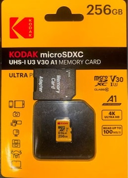 yViJzKodak  }CNSD[J[h 256GB A_v^[t