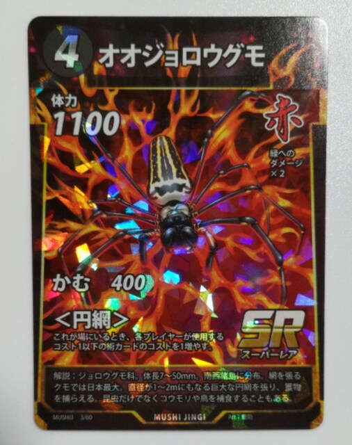 峐_@IIWEO   g[fBOJ[h 