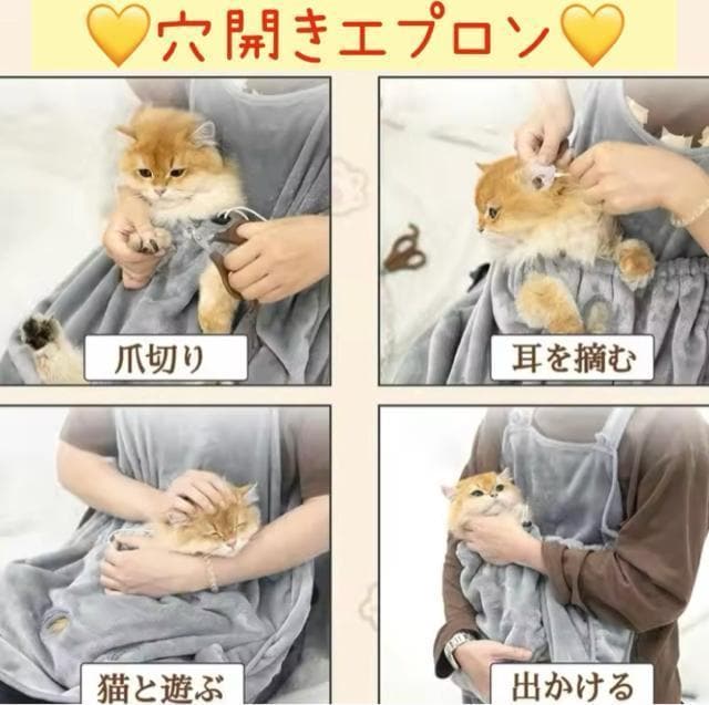 ̋󂢂ybgp̑prGv  Gv   ybg/|/| 