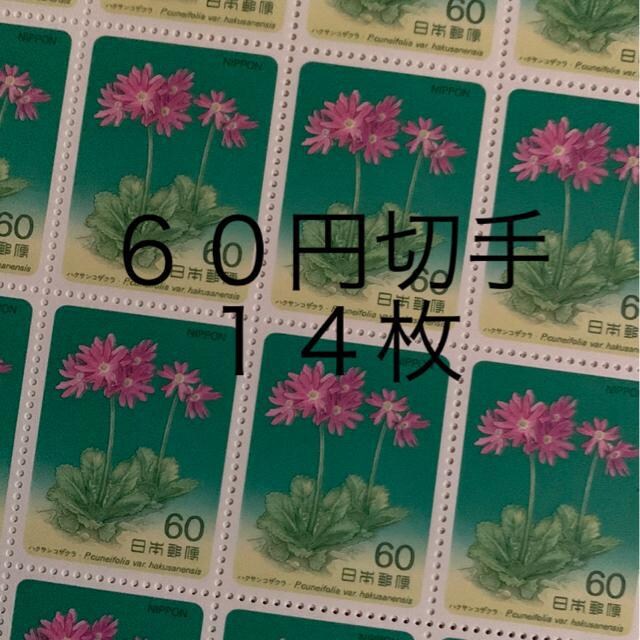 86141LO؎840~(60~؎)   zr[ 