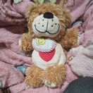 SUZY'S ZOO 