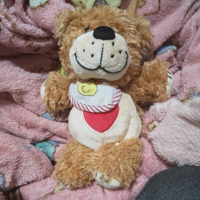 SUZY'S ZOO     