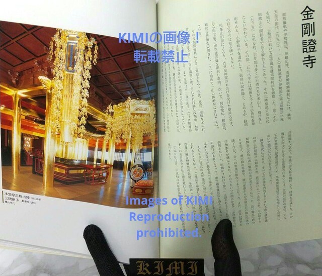 Fx 暎 { }^ 1994 p ܂񂲂傤 As  {/G 