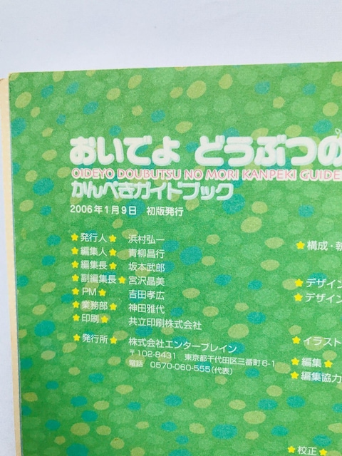 ł@ǂԂ̐X@؂KChubN@U{@Ł@DS Animal Crossing Wild World Guide  Q[{/\tg 