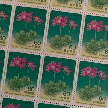 234LO1200~(60~؎)