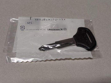 Ki@Vi@@JTL KAWASAKI@i GXg250 uNL[ XyAL[  @@oCN