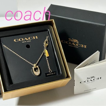 i COACH R[` lbNX C`[t CXg[ S[h