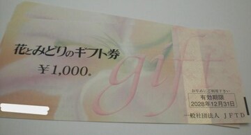 ԂƂ݂ǂ̃Mtg1000~2Zbg
