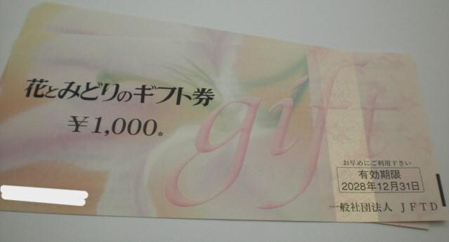 ԂƂ݂ǂ̃Mtg1000~2Zbg 