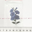 11*R[WV[@3