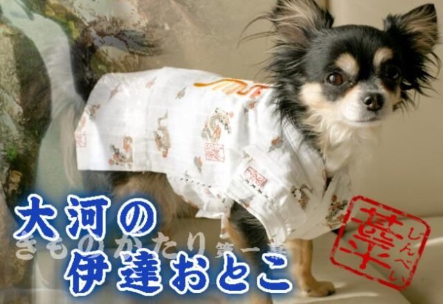 ANNY'S DOGS hJ̐r 2SVi `2kg   ybg/|/| 