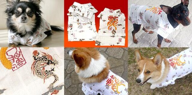 ANNY'S DOGS hJ̐r 2SVi `2kg  ybg/|/| 