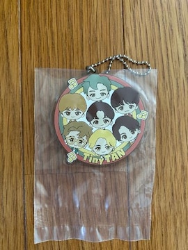 BTS TinyTAN o[L[z_[