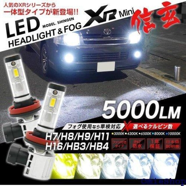 LED wbhCg tHOv MXR Mini 4300K 6500K 8000K 10000K 12V 609  /oCN