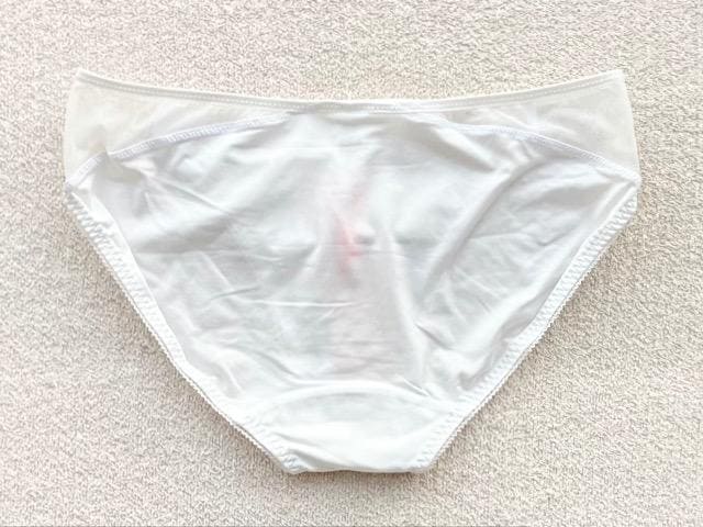 Triumph AMOSTYLE V[c MTCY zCg  t@bV 