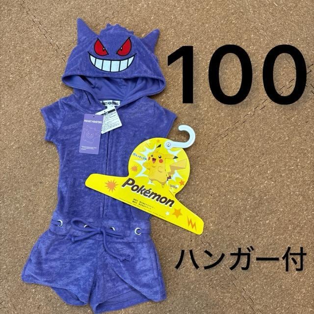 Vigp^Ot100TCY@|PQK[@Ȃ肫@.20   LbY/xr[ 