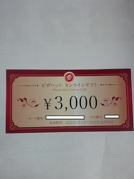 }GO[vHD D sUnbgICMtg 3000~2025.12.31Dҁ@