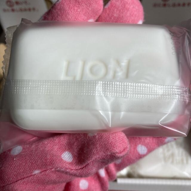LION A Ɩp Ō` ΂ 100g ~36