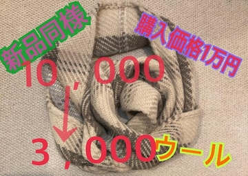 Viljohn branigan(WujK)yĂȃXk[hlCi劈E[S[WXi