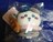 ちいかわ