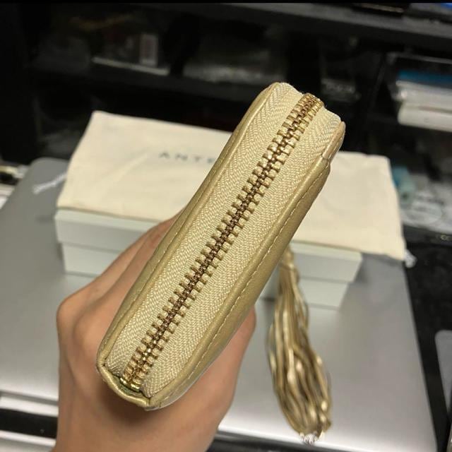 yANTEPRIMAz Aev} / v / Lt@Xi[ z