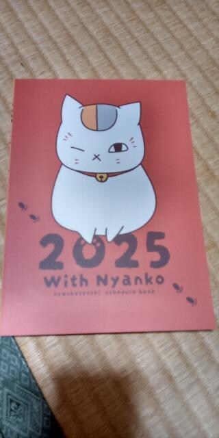 ĖڗFljR搶XPW[2025 